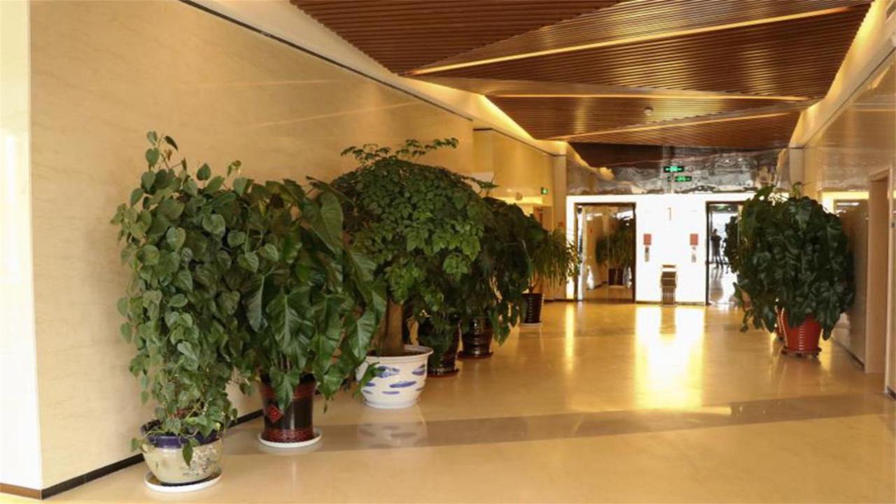Holiday Inn Express Zhangjiakou Park View, An Ihg Hotel Екстериор снимка
